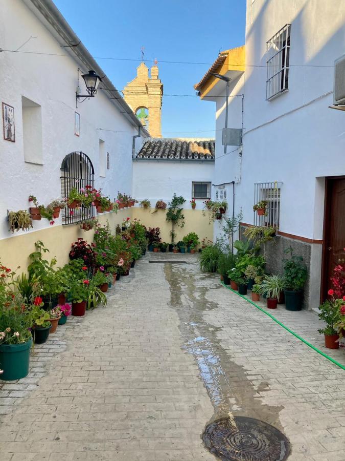 Apartamento Nuevo En Sierra Sur Sevilla Villanueva de San Juan Zewnętrze zdjęcie