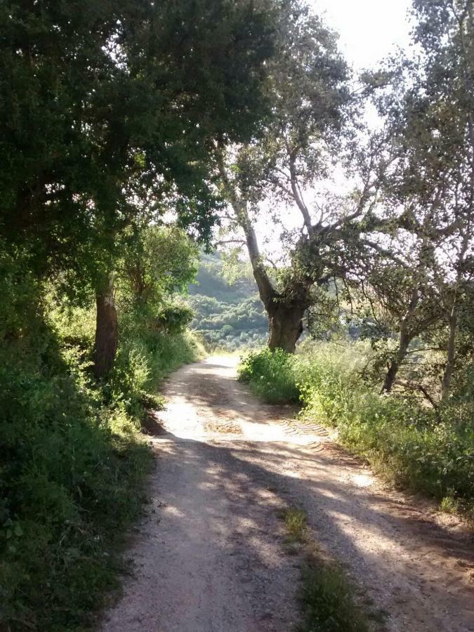Apartamento Nuevo En Sierra Sur Sevilla Villanueva de San Juan Zewnętrze zdjęcie